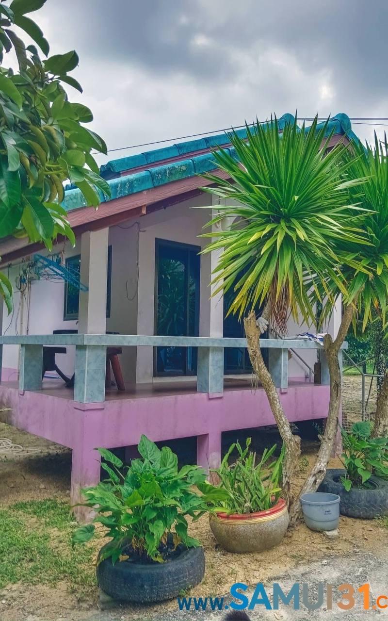 Односпальный дом