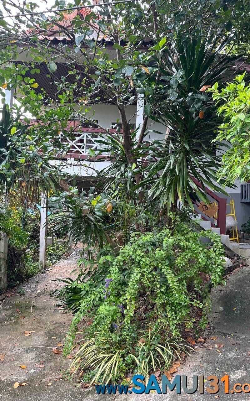 One-bedroom house